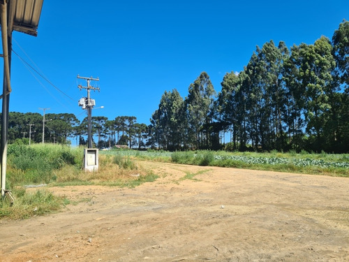 Imagem 6 de 14 de Terreno