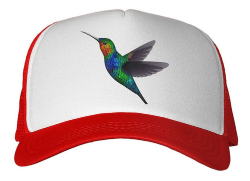 Gorra Colibri Naranja Azul Turquesa Rojo Verde