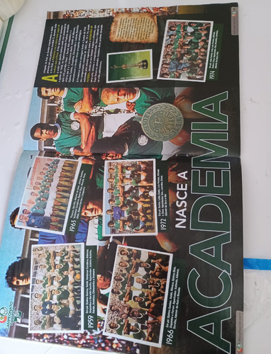 Álbum De Figurinhas Centenário Do Palmeiras (completo) (Usado)