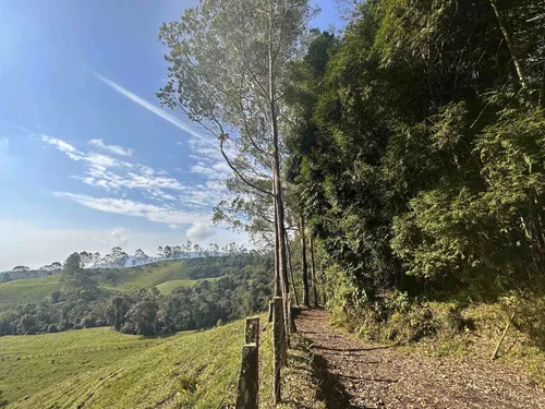 Vendo Permuto Finca Líbano Tolima
