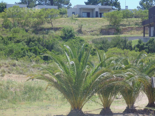 Terreno En Venta Barrio Privado En Carmelo, Médanos De Punta Gorda Casa Chic.