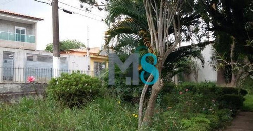 Imagem 5 de 13 de Terreno - Vila Perracini - Te0024