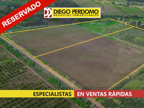 Chacras De 3 Y 3,2 Ha, En Venta, Montevideo