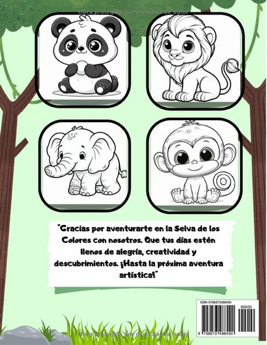 Explora La Selva De Los Colores: Colorea Y Descubre La Selva