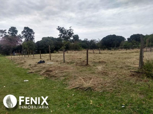 Imagen 4 de 7 de Tf548 - Z/ Ituzaingó, Corrientes. Lotes En Venta.