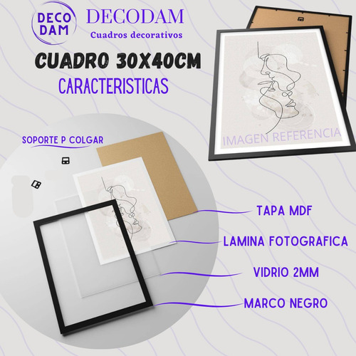 Cuadro Reptiles Dibujo Lineal 30x40cm Listo P Colgar