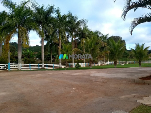 Imagem 10 de 15 de Fazenda - Zona Rural - Ref: 1395 - V-mta1395