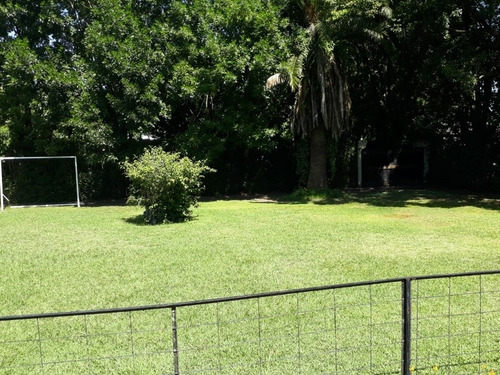 Imagen 8 de 14 de Alquiler Quinta Zona Sur