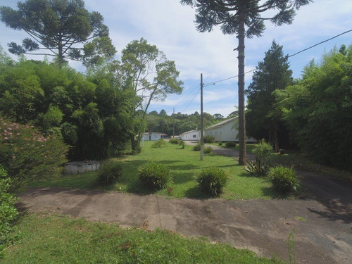 Imagem 4 de 30 de Chácara-fazenda-sítio À Venda Com 28723.3m² Por R$ 995.000,00 No Bairro Roça Velha - São José Dos Pinhais / Pr - Ch103