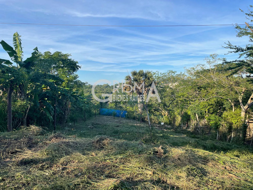 Terreno En Venta En Infonavit Las Granjas