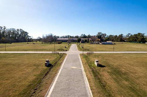 Lote En Venta En Cortinez