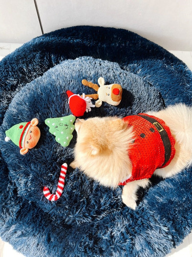 Imagen 3 de 3 de Bastón Navideño Para Mascotas - Unidad a $45000