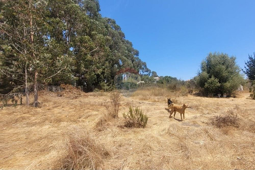 Inversión Ideal: Gran Terreno En Algarrobo,