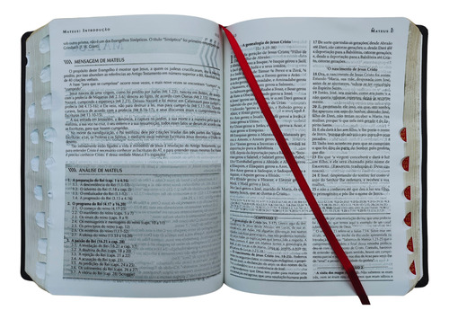 Biblia De Estudo Explicada Com Dicionario Capa Luxo Vinho Com Indice Lateral