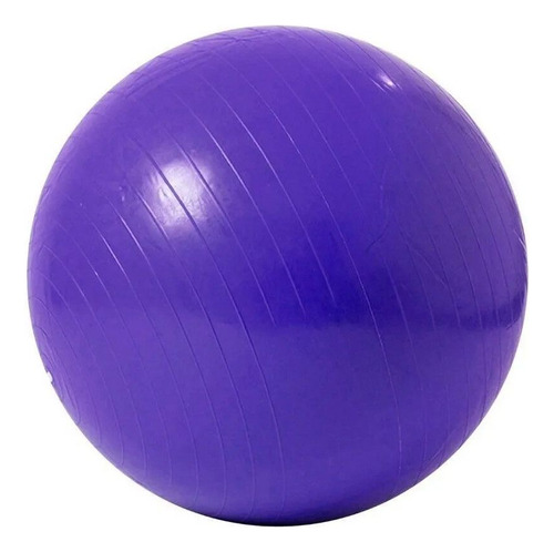 Pelota Yoga Pilates Ejercicio Gym Equilibrio Bola 65cm