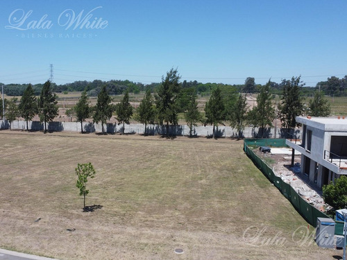 Imagen 4 de 12 de Venta - Lote En Terralagos