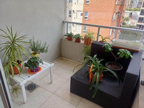 Venta Araoz Al 800 Excelente 3 Amb- Sum Parrilla