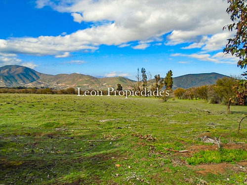 Se Vende Paño De 17,5 Ha. En Sector Los Naranjos, Curacavi.