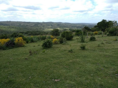 Campo En Venta
