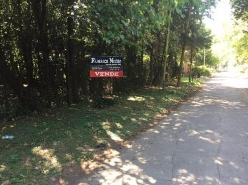 Imagen 2 de 4 de Terreno En Venta En El Cortijo Viejo