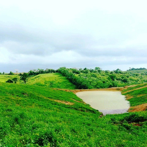 Imagen 8 de 16 de Venta Finca En Yaracal Estado Falcón