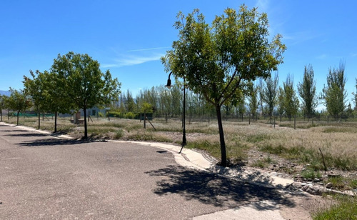 Imagen 7 de 8 de Lote En Bº Rincón De Araoz