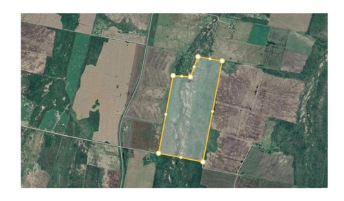 Imagen 5 de 5 de Vendo Campo En Brugo 82 Has