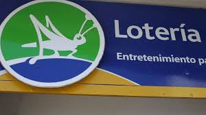 Chapa De Agencia De Loteria