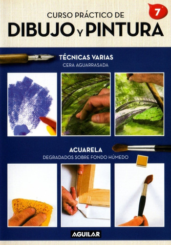 Curso Práctico De Dibujo Y Pintura Vol.7 / Dvd Original