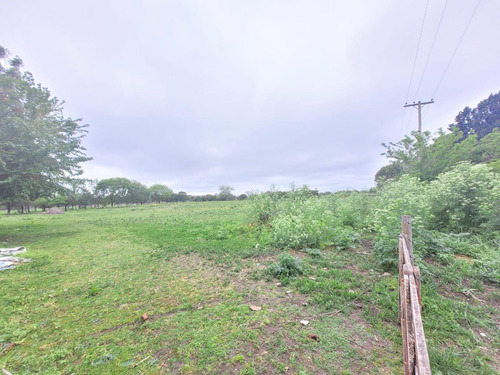 Terreno En Venta En Barrio Parque Altos El Ombu, Exaltación De La Cruz, Los Cardales, Gba Norte