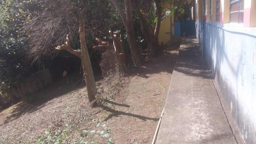 Vanserv Limpeza De Quintal E Lavagem De Caixa Dágua