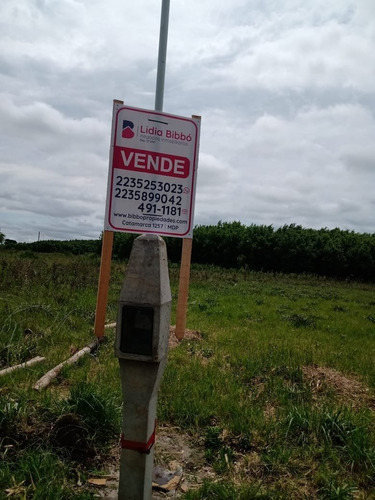 Imagen 8 de 10 de 2 Lotes Juntos O Separados En Felix U Camet