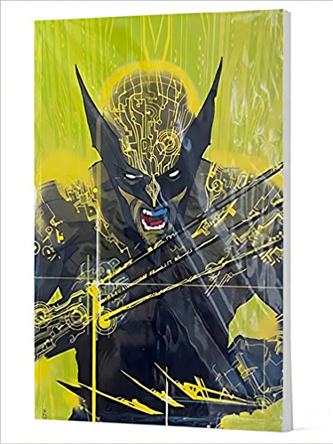 Wolverine (2022) N. 01 - Capa Variante Ccxp, De David Walker. Editora Panini, Capa Mole Em Português, 2022