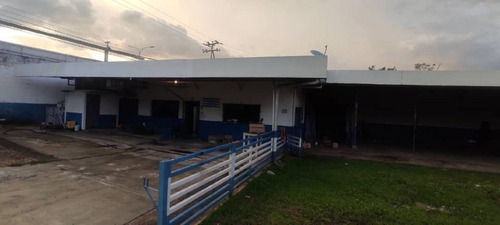 Imagen 5 de 8 de Terreno En San Diego