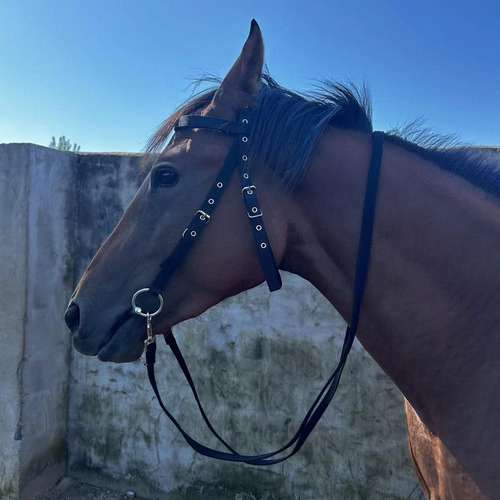 Mox Cabestro De Caballo Ajustable Diadema De Brida De