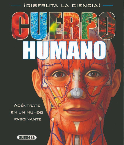 Cuerpo Humano, De Bampton, Claire. Editorial Susaeta, Tapa Dura En Español