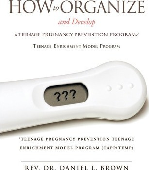Libro How To Organize And Develop A Teenage Pregnancy Pre...