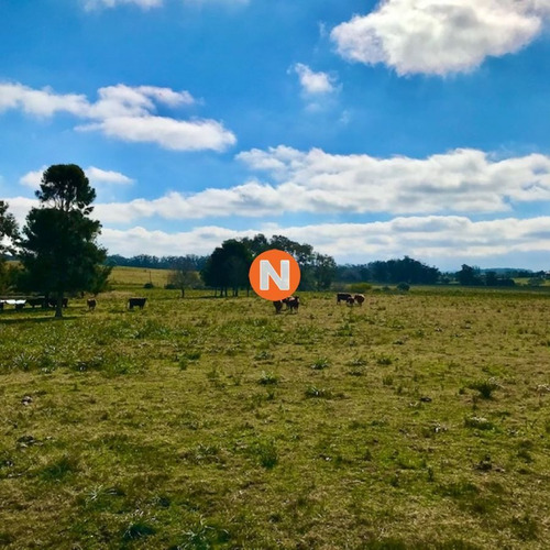 Imagen 7 de 18 de Chacra Del Haras De Medellin 1 - Jose Ignacio La Juanita