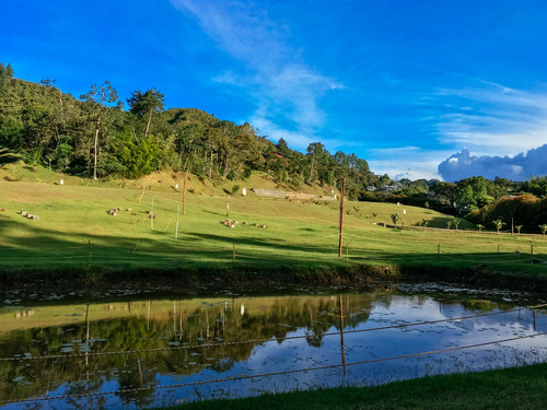 Vendo Lote En El Herbal Via Don Diego - Llanogrande