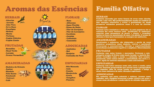 Imagem 2 de 6 de Kit 6 Óleos Aromáticos Essência Star Para Recho Orixás 10ml