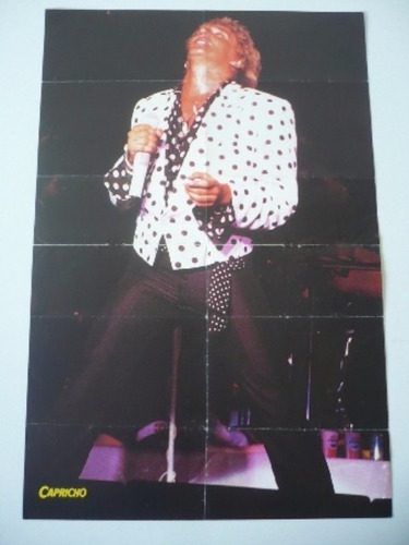 Rod Stewart Poster Color Doble Brasilero 90's Pop