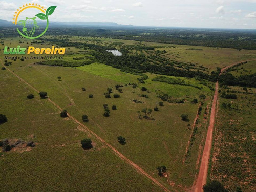 Imagem 15 de 15 de Fazenda À Venda Em Fátima - To-excelente P/ Lavoura, Plantio De Até 800 Hec - 1617