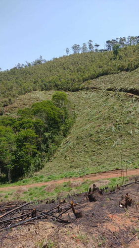 Imagem 10 de 14 de Lotes Á Venda Com Vista Pra Natureza 77a