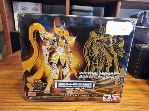 Saint Cloth Myth Ex God Camus De Acuario