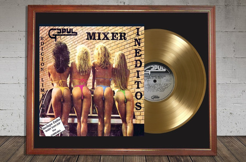 Gapul Mixer Inéditos Tapa Lp Y Disco Oro En Cuadro