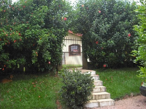Rural - Venda - Santa Gertrudes - Cod. 81 - V81