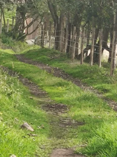 Venpermuto Terreno En Sibaté, Alto Charco