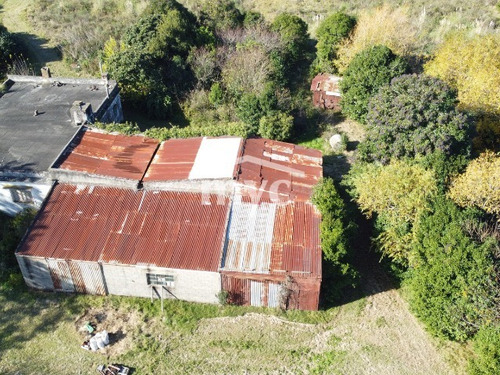 Imagen 4 de 18 de 1,3 Hás Con Casa Para Reciclar Sobre Ruta 7 Km 34.