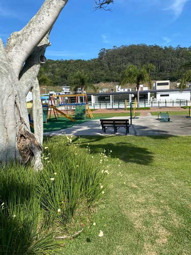 Imagem 25 de 29 de Oportunidade Para Construir A Sua Casa Em Florianópolis/sc - Te0004