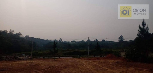 Imagem 6 de 6 de Terreno À Venda, 1754 M² Por R$ 750.000,00 - Quintas Do Ingaí - Santana De Parnaíba/sp - Te1026